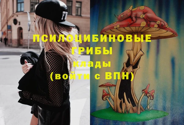 сатива Семилуки