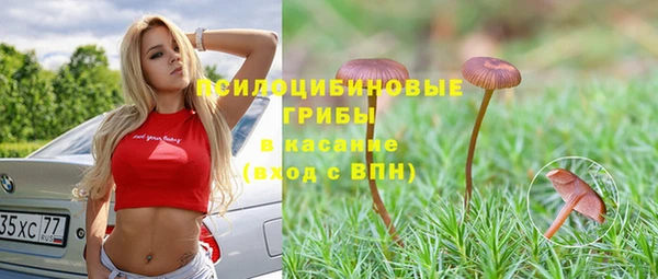гидра Волосово