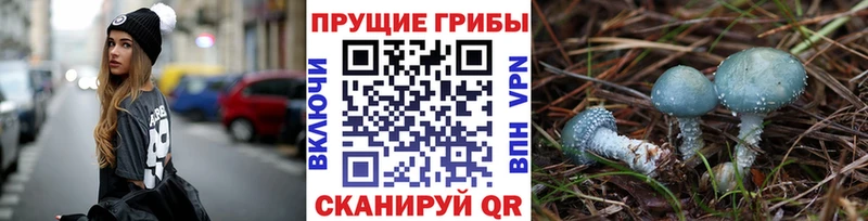 Псилоцибиновые грибы прущие грибы  omg зеркало  Нея 